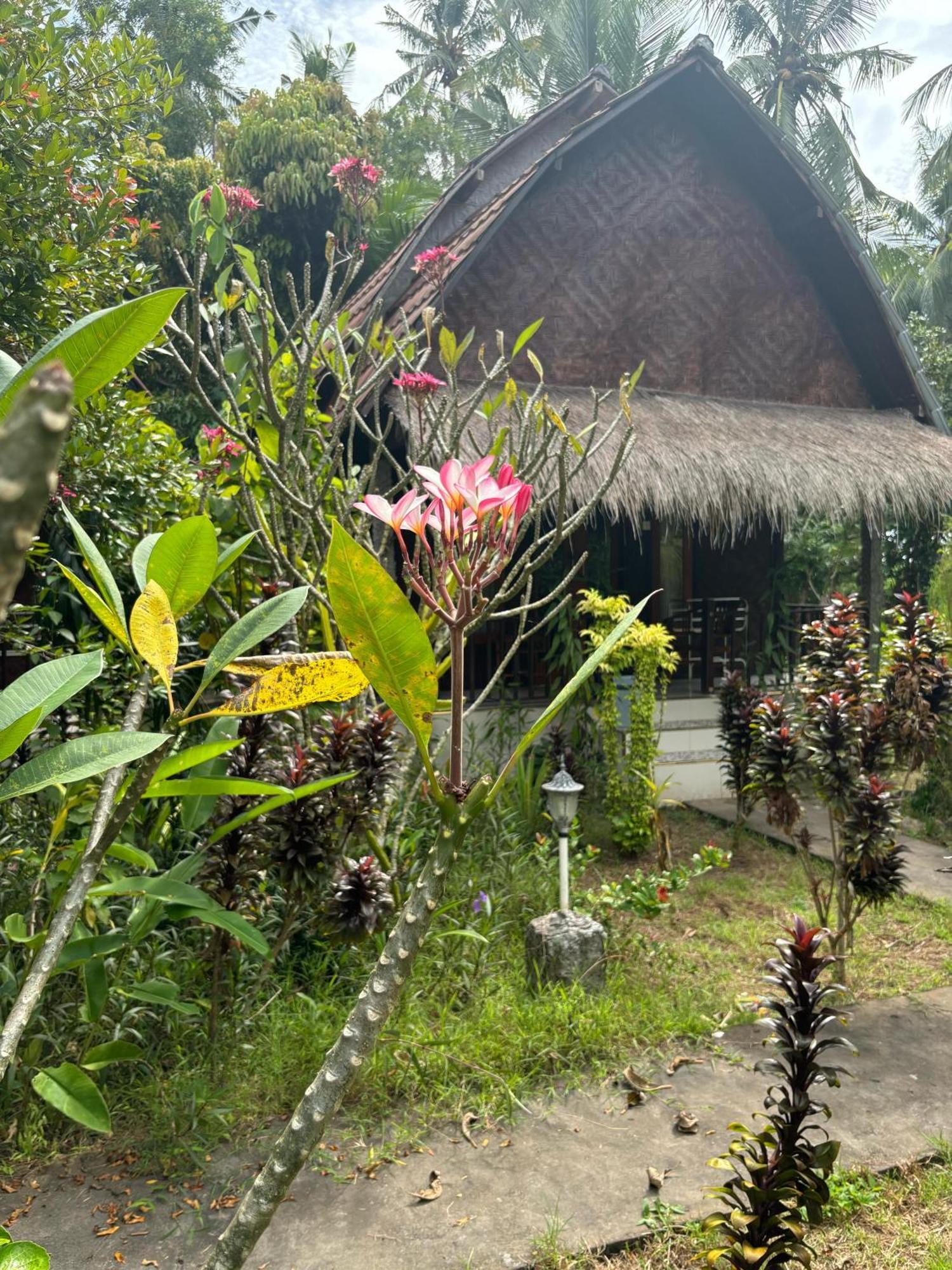 Kubu Artha Bungalow Nusa Penida Ped Dış mekan fotoğraf